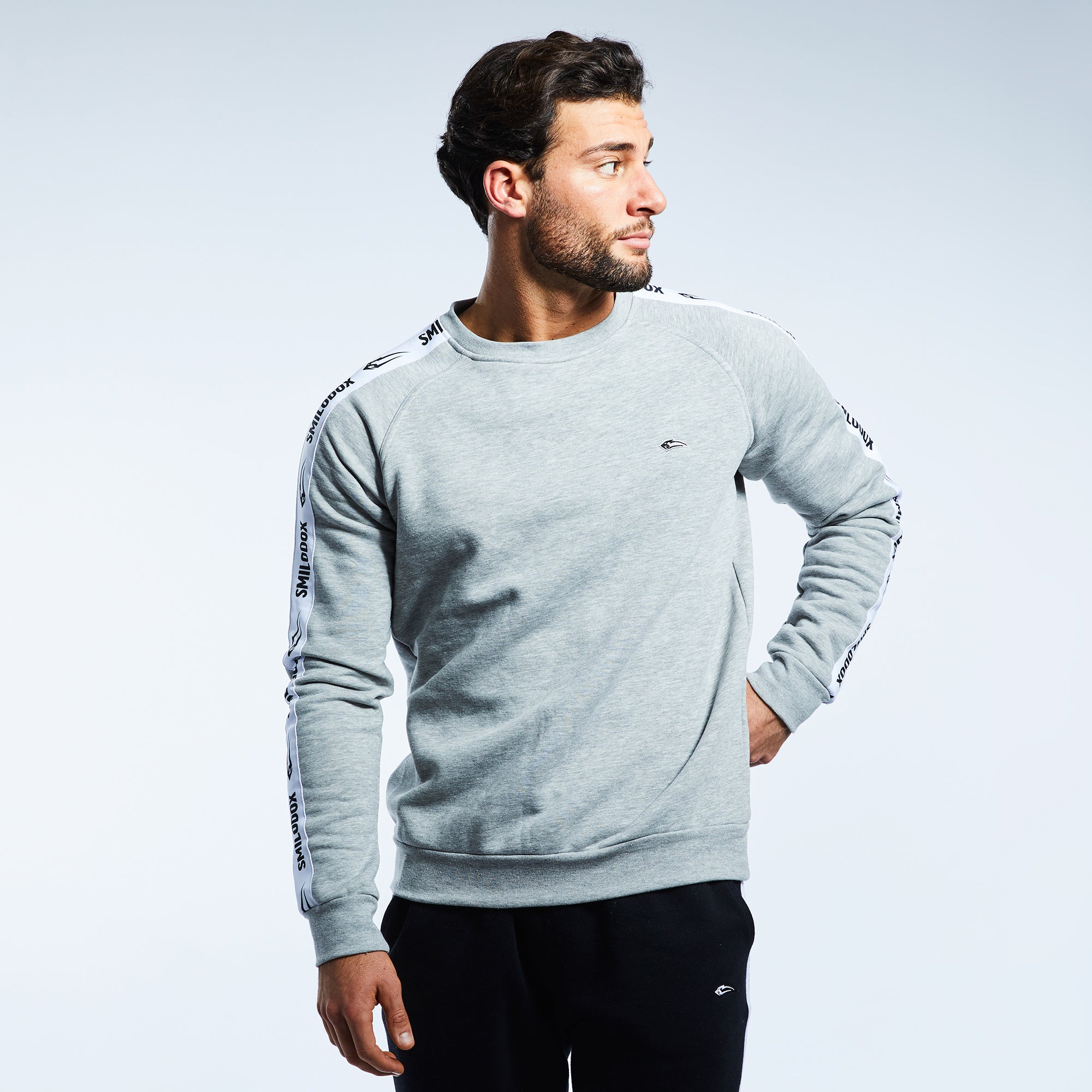 Sweatshirt Stripe
